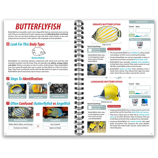 Hawaii Ocean Life Guide