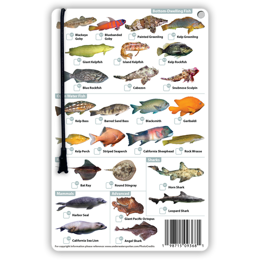 California Fish Identification Card