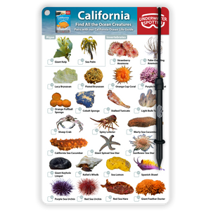 California Fish Identification Card