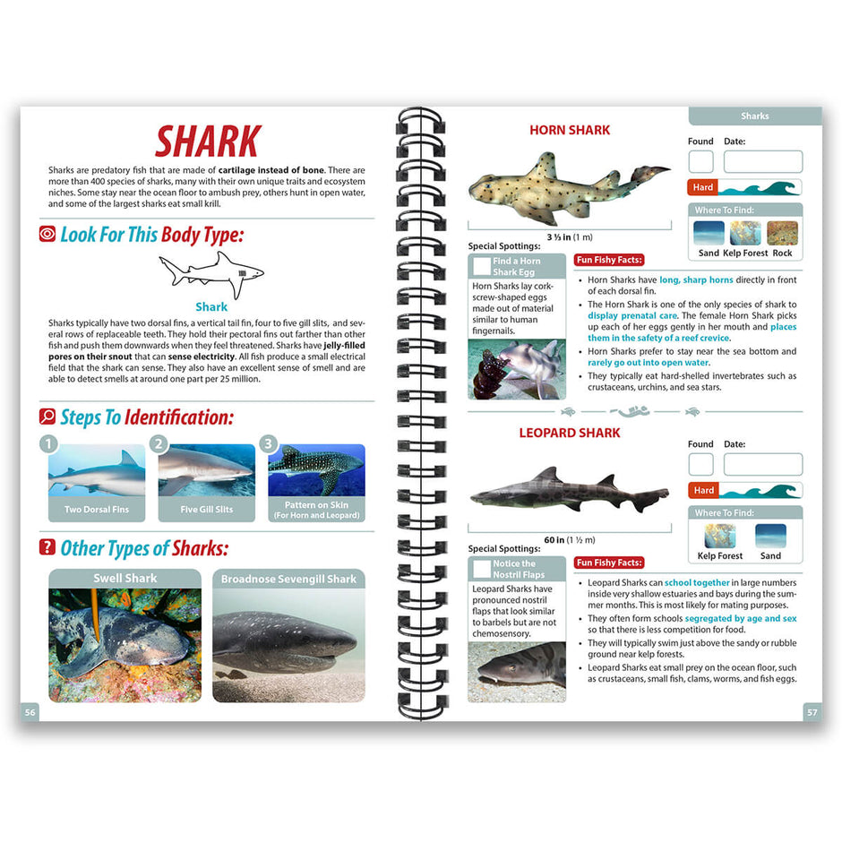 Underwater Spotter | Fish Identification and Ocean Life Guides