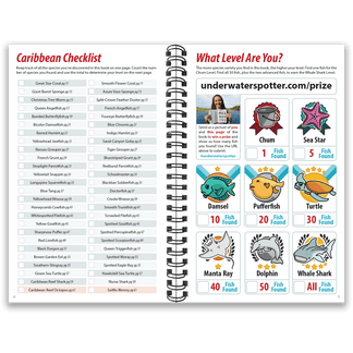 Caribbean Ocean Life Guide, A Fish ID Book &amp; Scavenger Hunt ...
