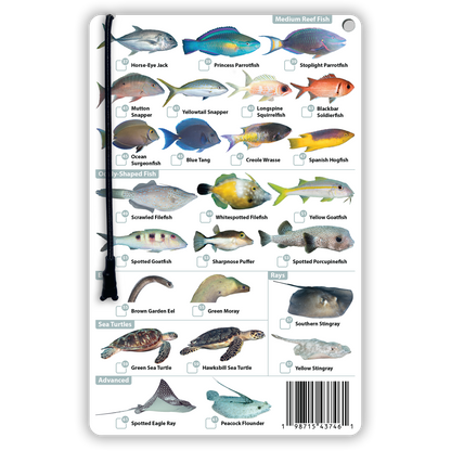 Cayman Islands Fish Identification Card