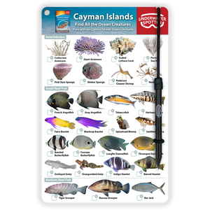 Cayman Islands Fish Identification Card