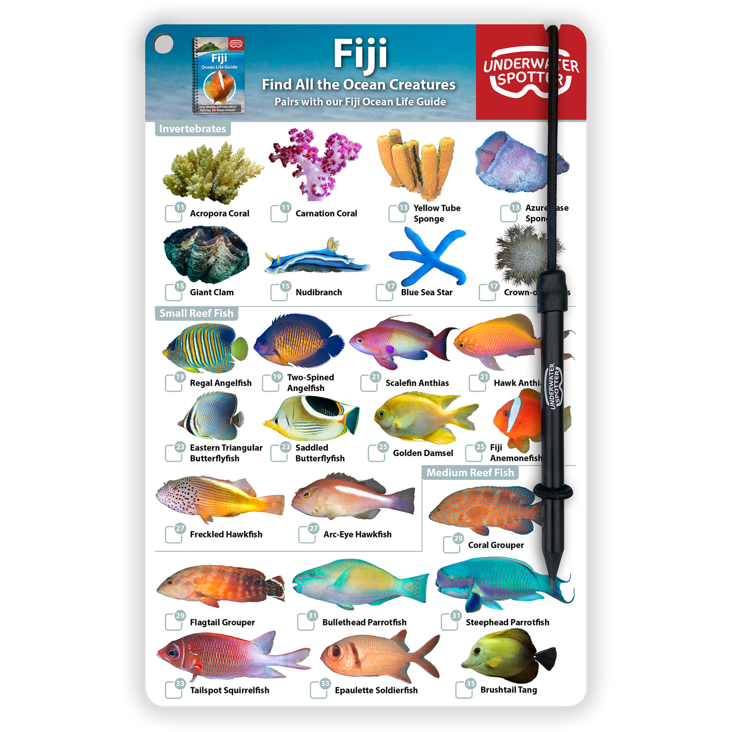 Fiji Fish Identification Card