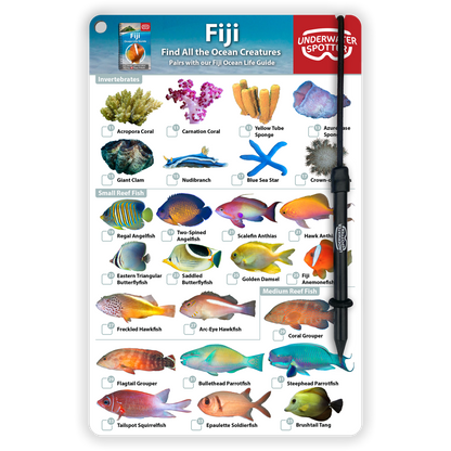Fiji Fish Identification Card