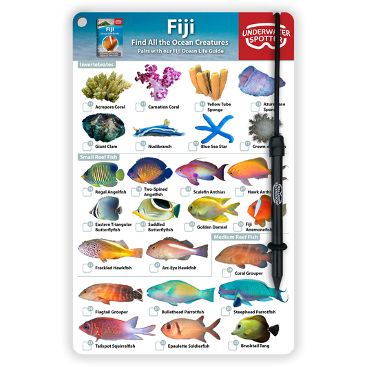 Fiji Fish Identification Card