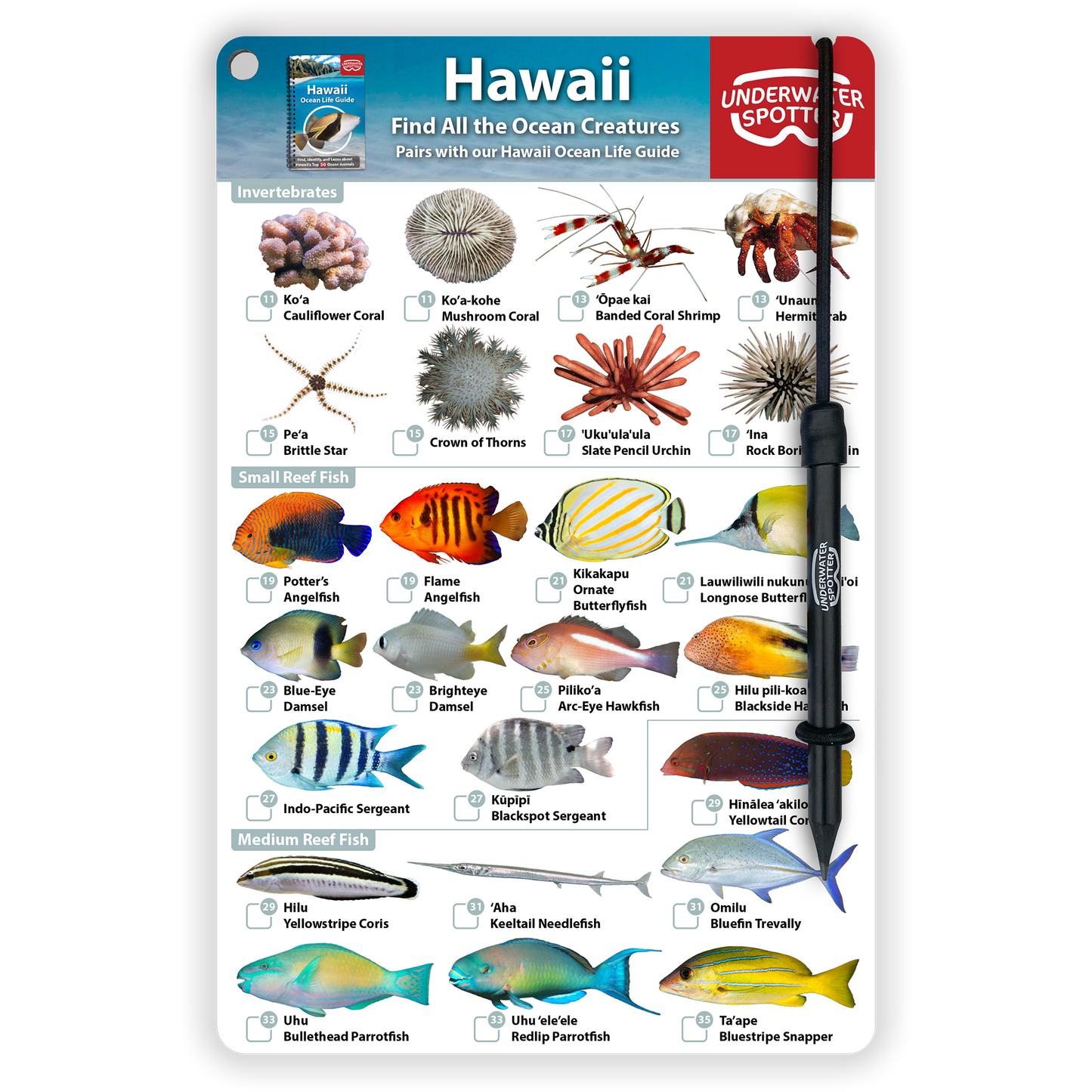 Hawaii Fish Identification Card