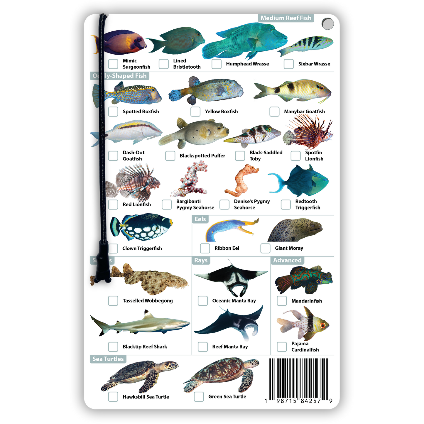 Indonesia Fish Identification Card