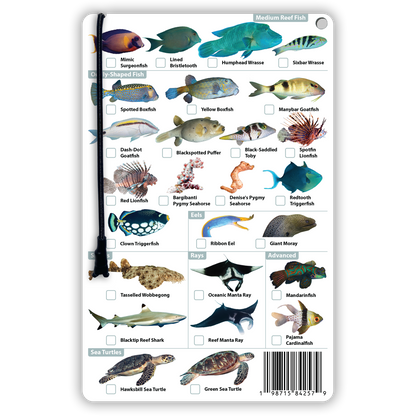 Indonesia Fish Identification Card