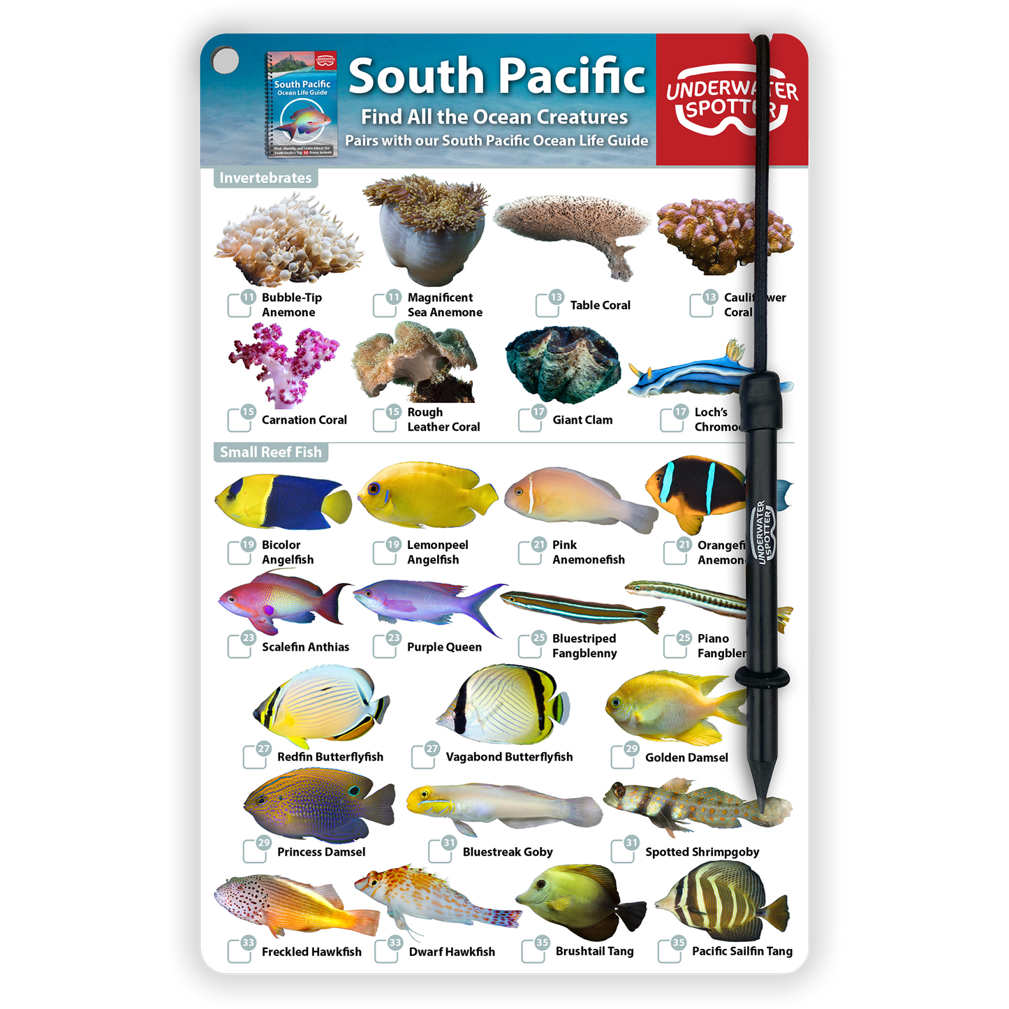 South Pacific Fish Identification Card