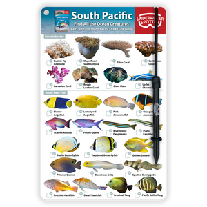 South Pacific Fish Identification Card